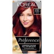 L'Oréal Paris Préférence Infinia Hair Dye (Various Shades) - 3.66 Dark...
