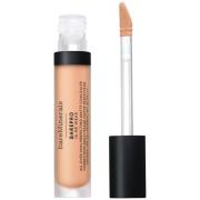 bareMinerals Barepro All-Over Skin-Perfecting Matte Concealer Mineral ...