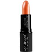 Golden Bay Nectar Neutral Lipstick 4g