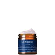 Antipodes Culture Probiotic Night Recovery Water Cream 60ml