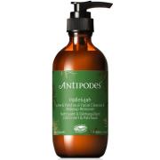 Limpiador facial lima y pachuli Antipodes Hallelujah 200ml